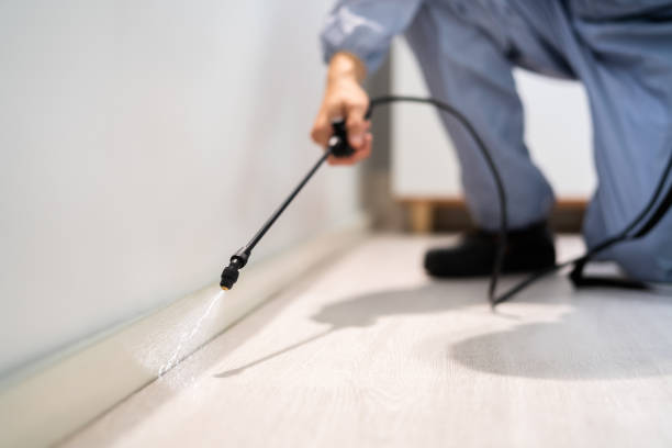 Certified termite inspector examining foundation in Lawnside