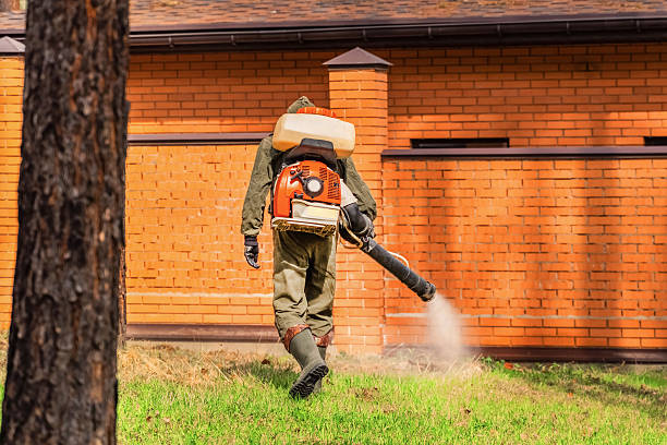 Top rated local Mosquito Control specialists in Lawnside, NJ